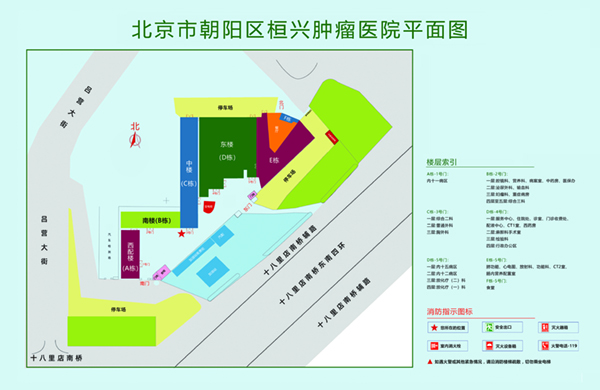 大鸡巴草小骚逼北京市朝阳区桓兴肿瘤医院平面图